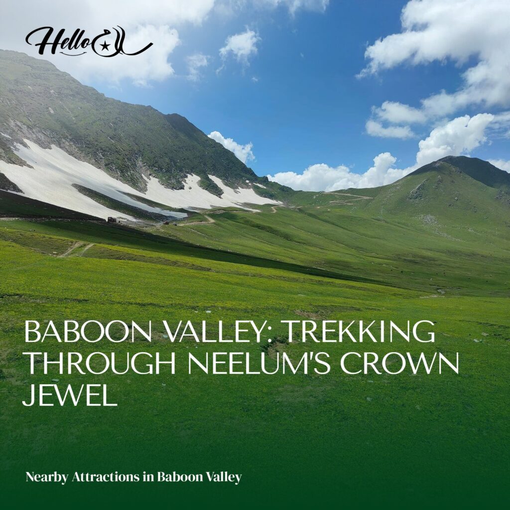 Baboon Valley Travel Guide