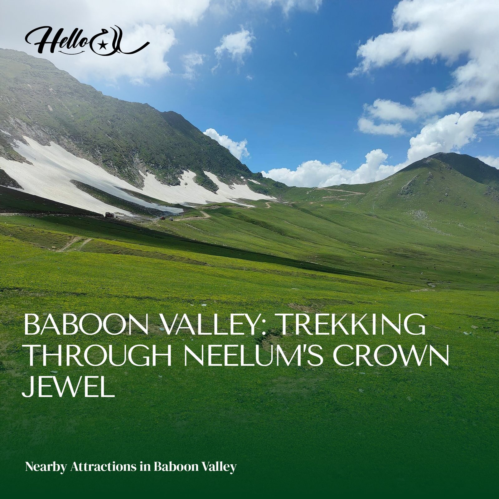 Baboon Valley Travel Guide